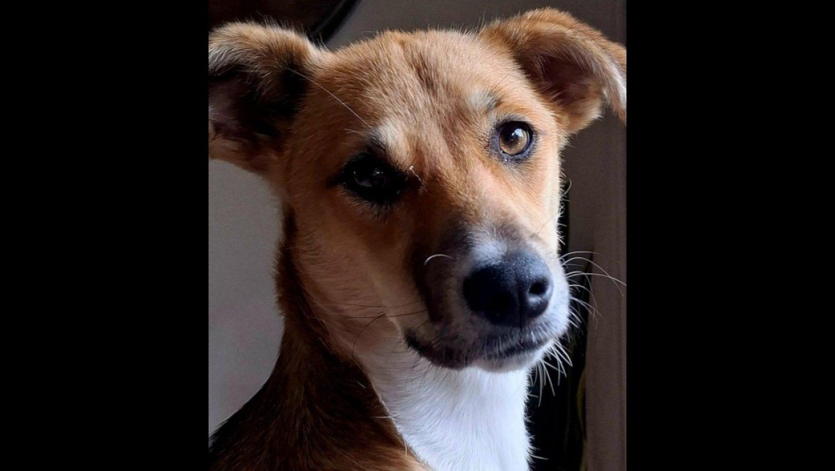 Mya