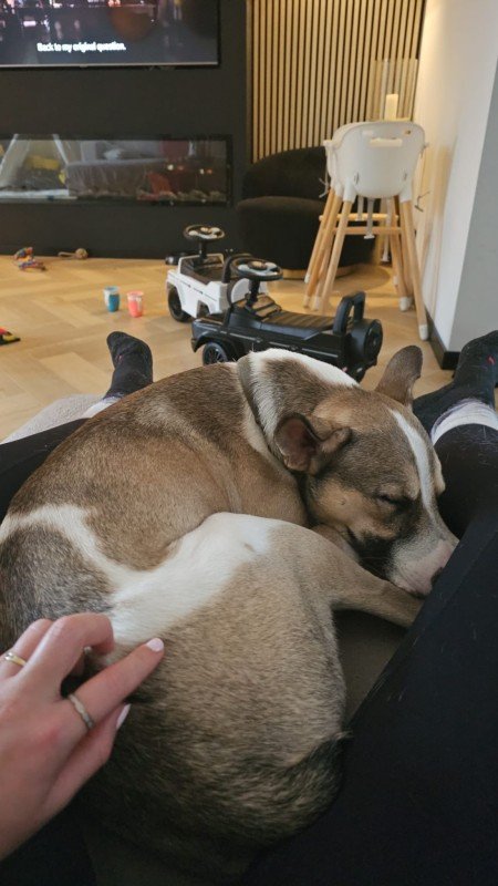 Yubi