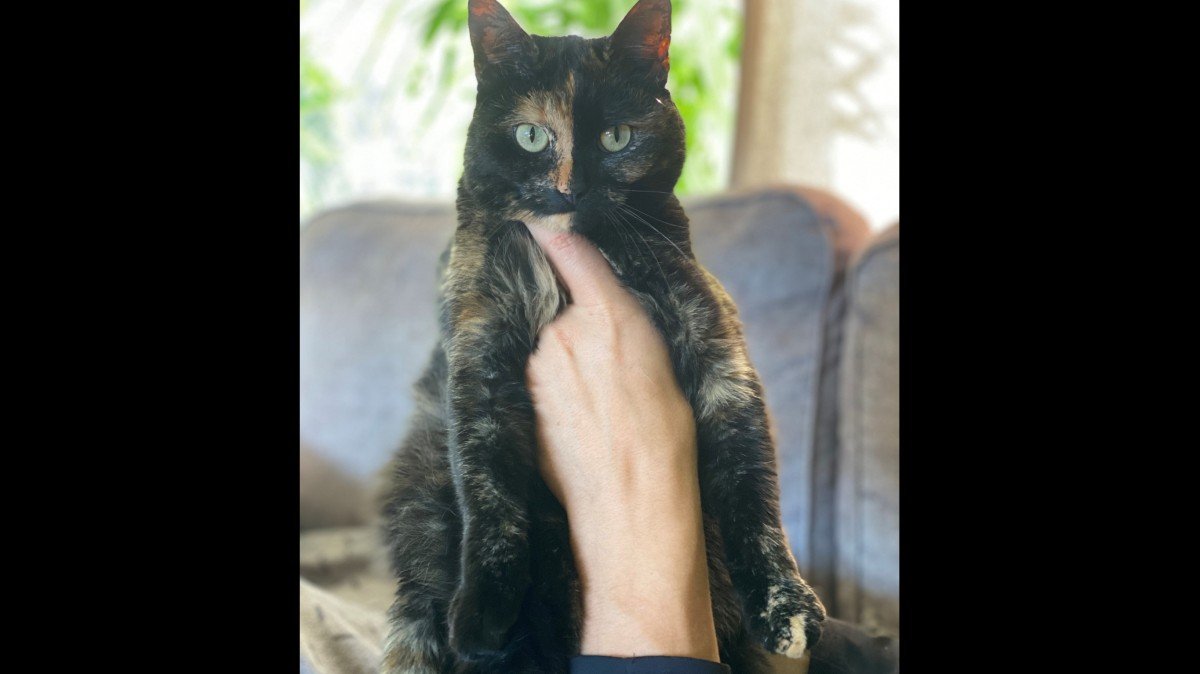 Izzy