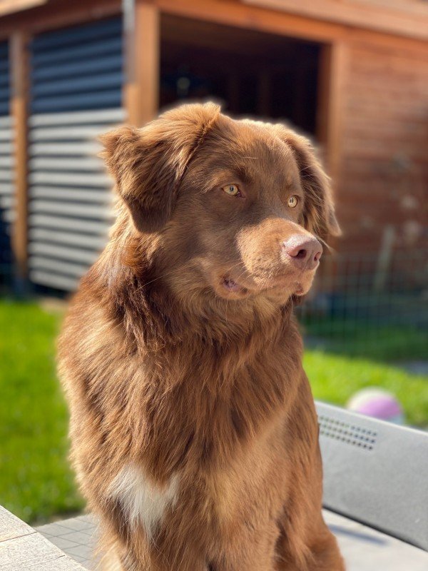 Sam