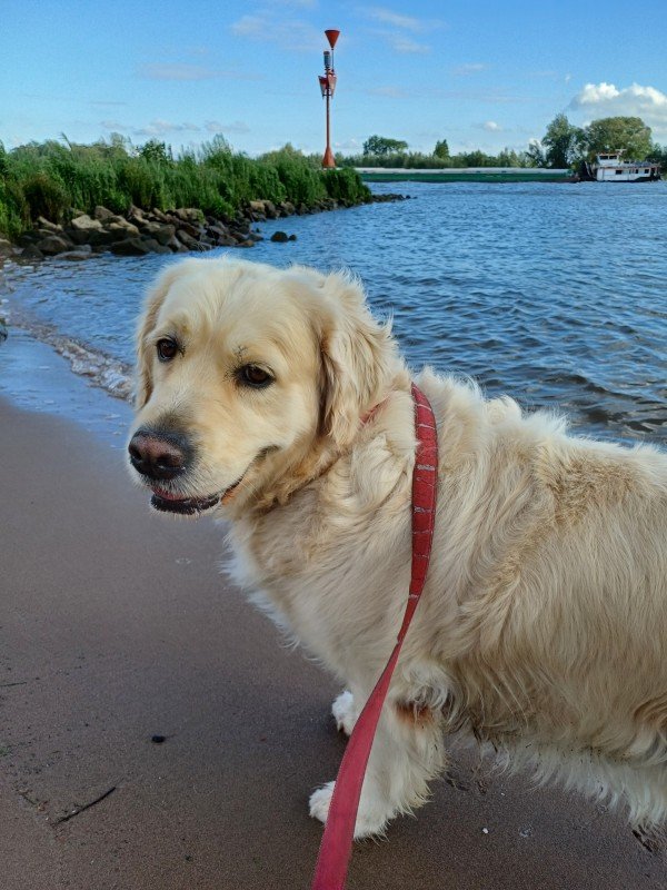 Sofie