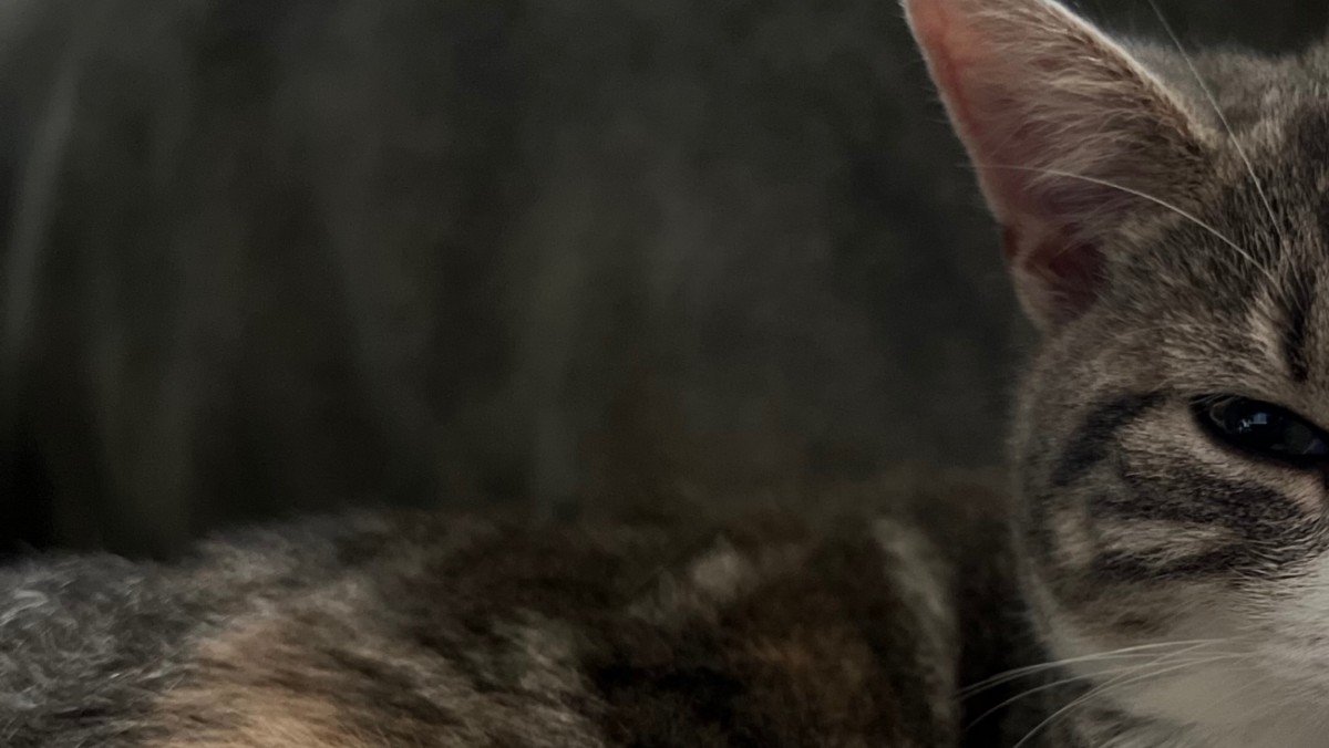 Bella
