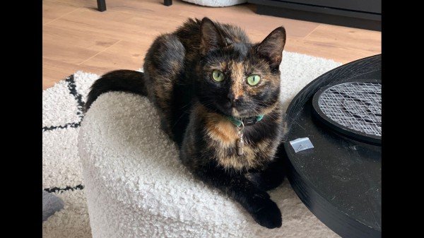 Nora