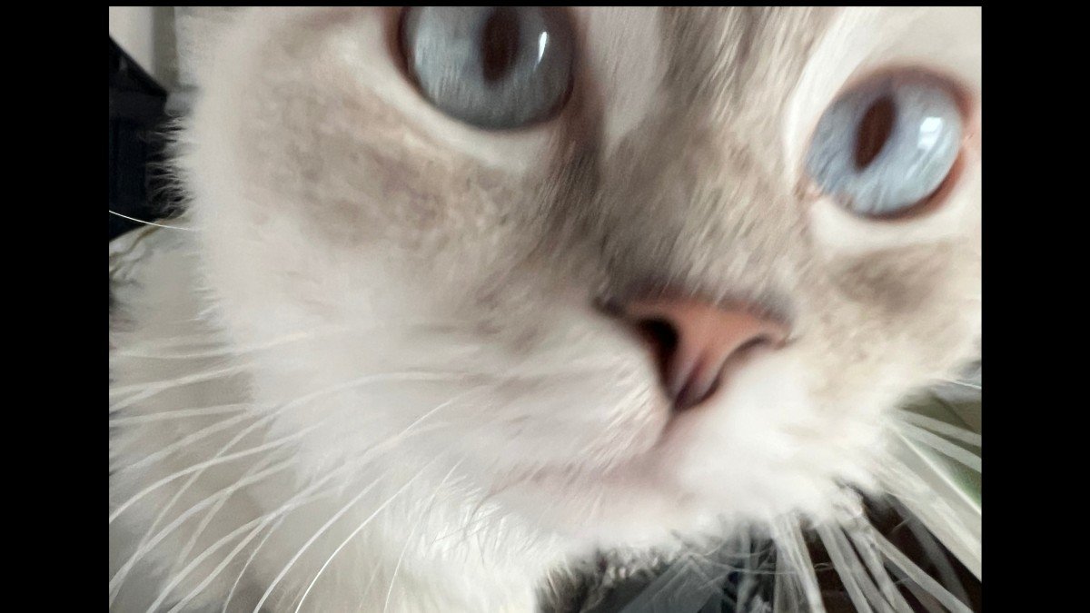 Chloe