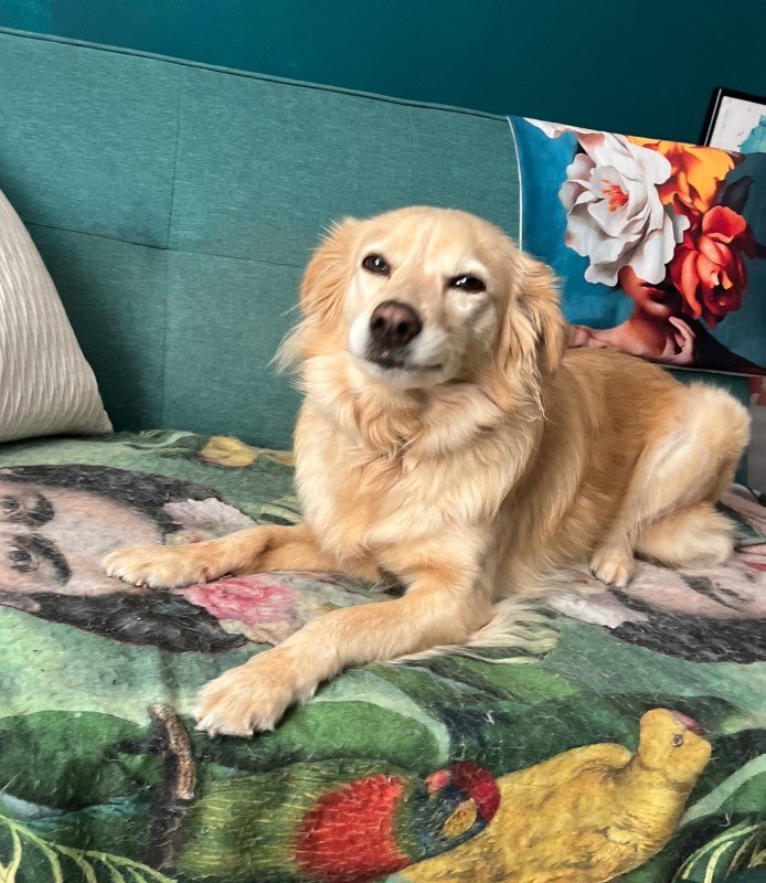 Bella