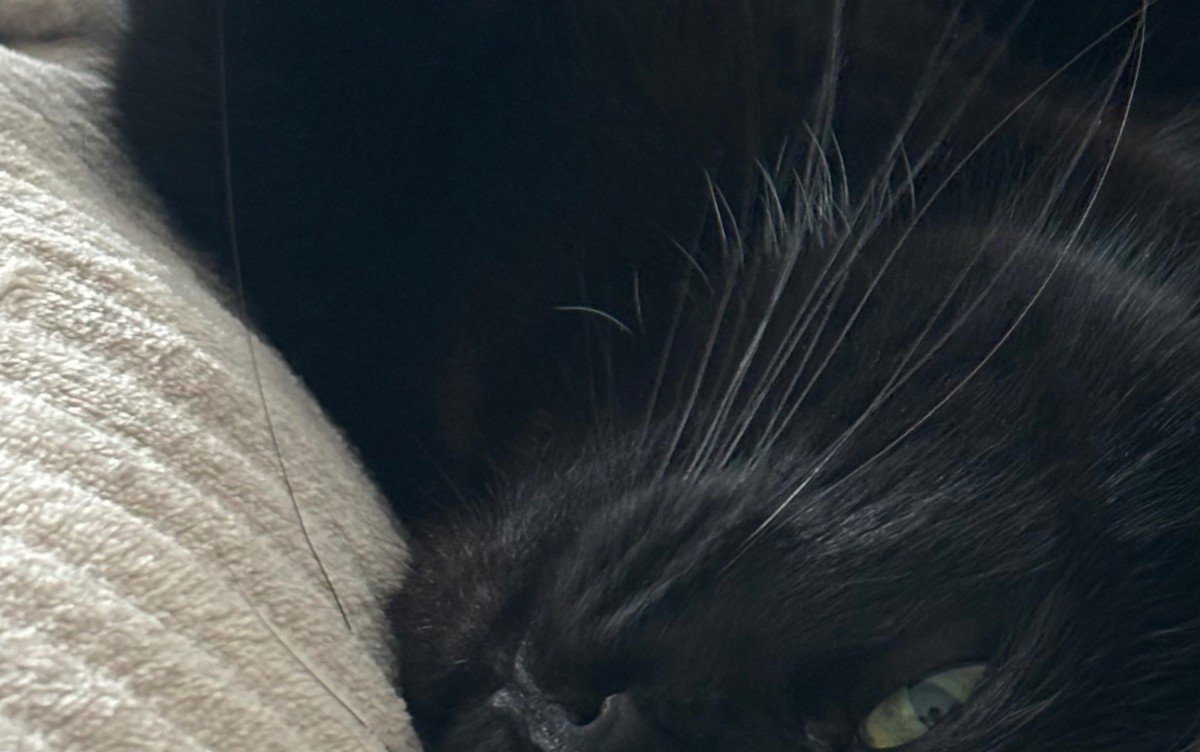 Charlie