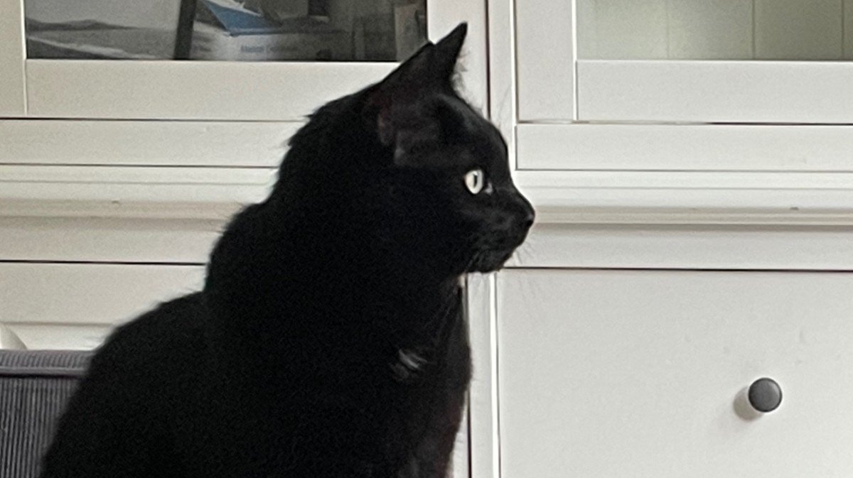 Charlie