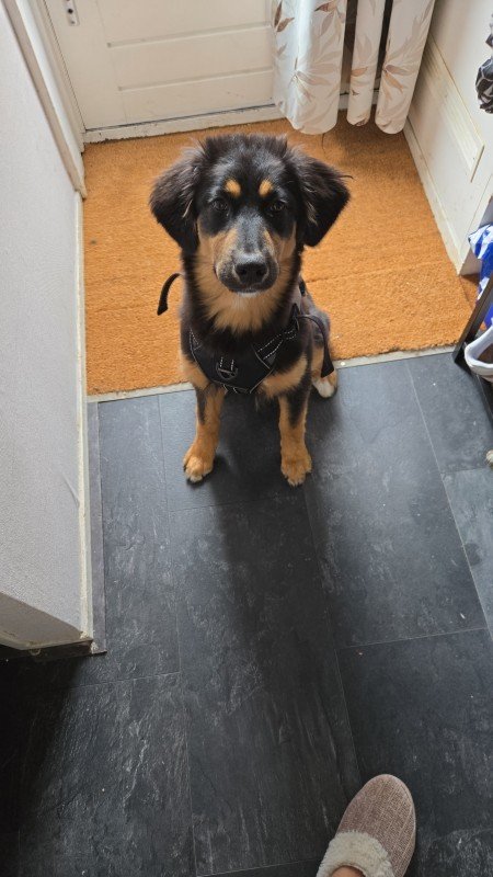 Bella