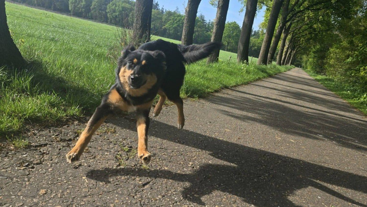 Bella
