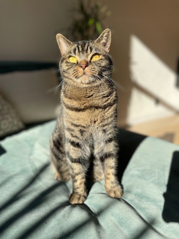 Jack