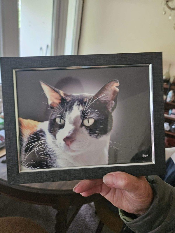 Dora