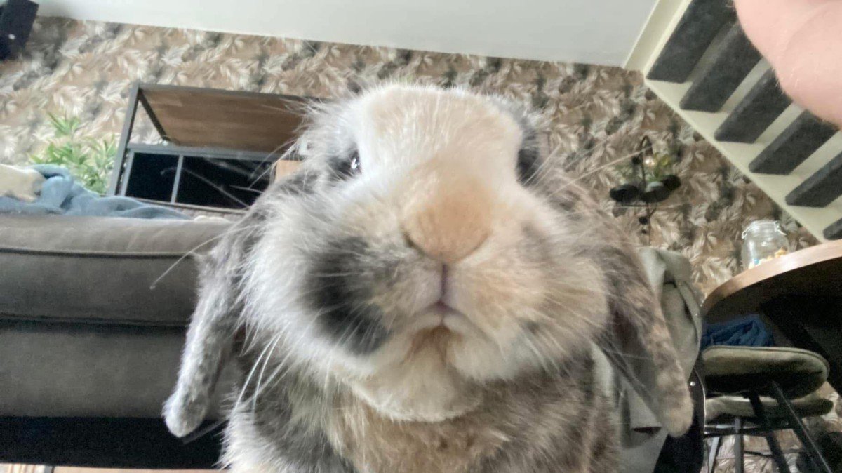 Bumi