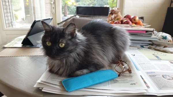 Luna