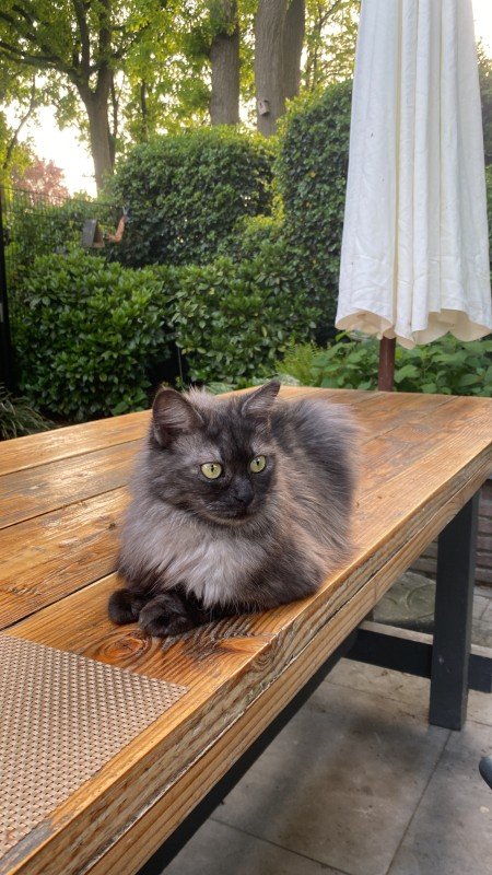 Luna
