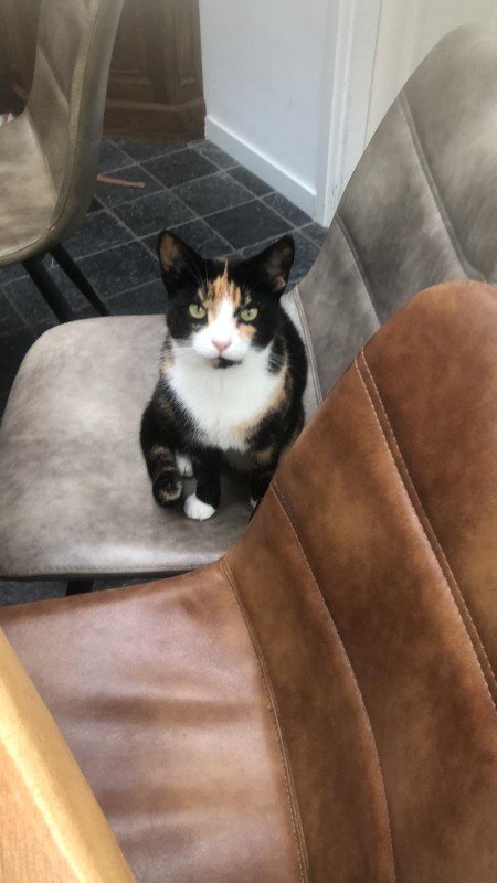 Louise