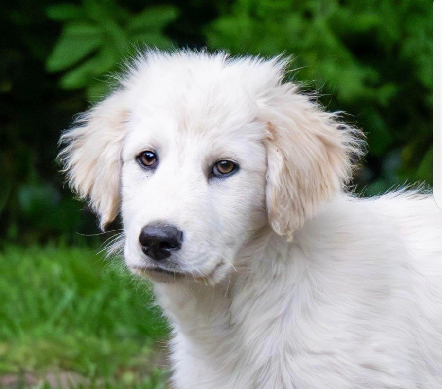 Rory