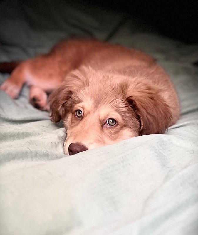 Billy
