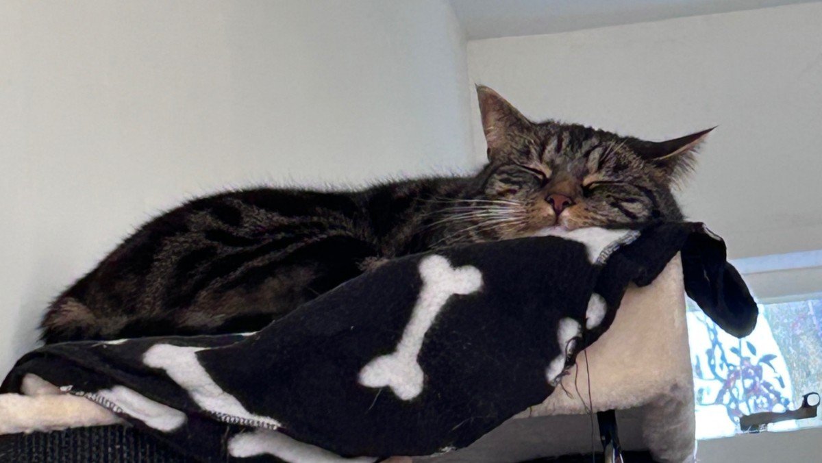 Loki