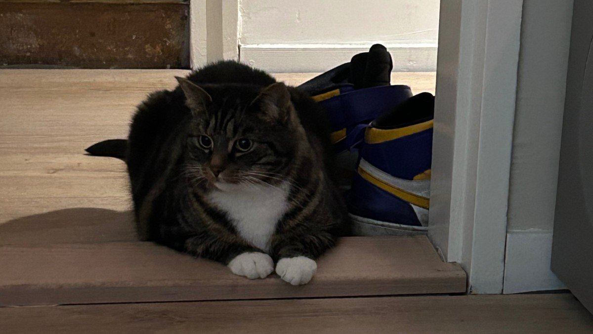 Loki