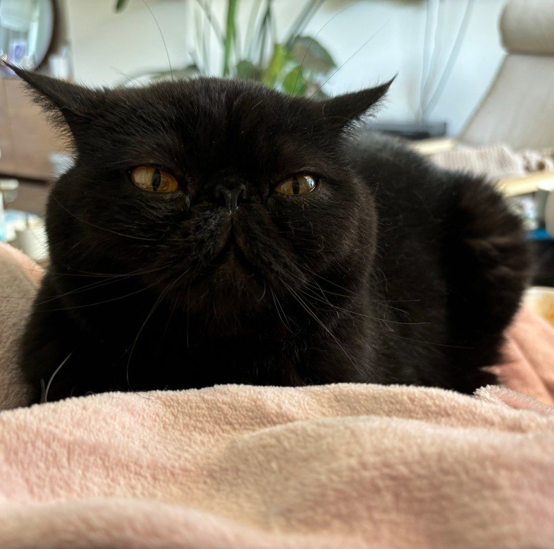 George
