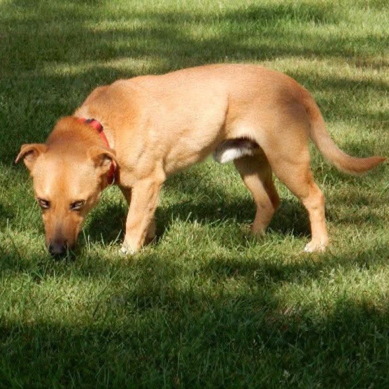 Murphy