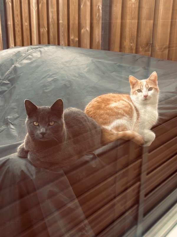 Seam