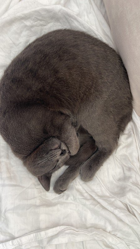Seam