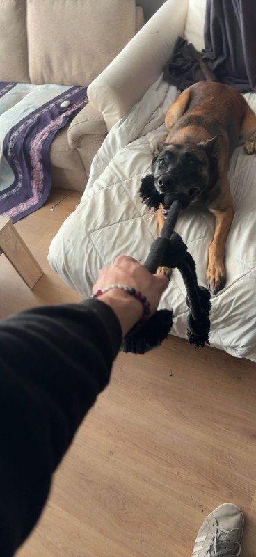 Lola