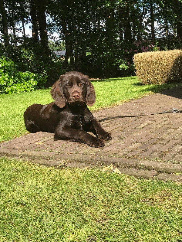 Nora