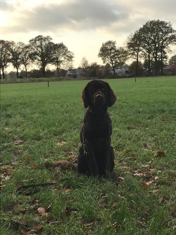 Nora