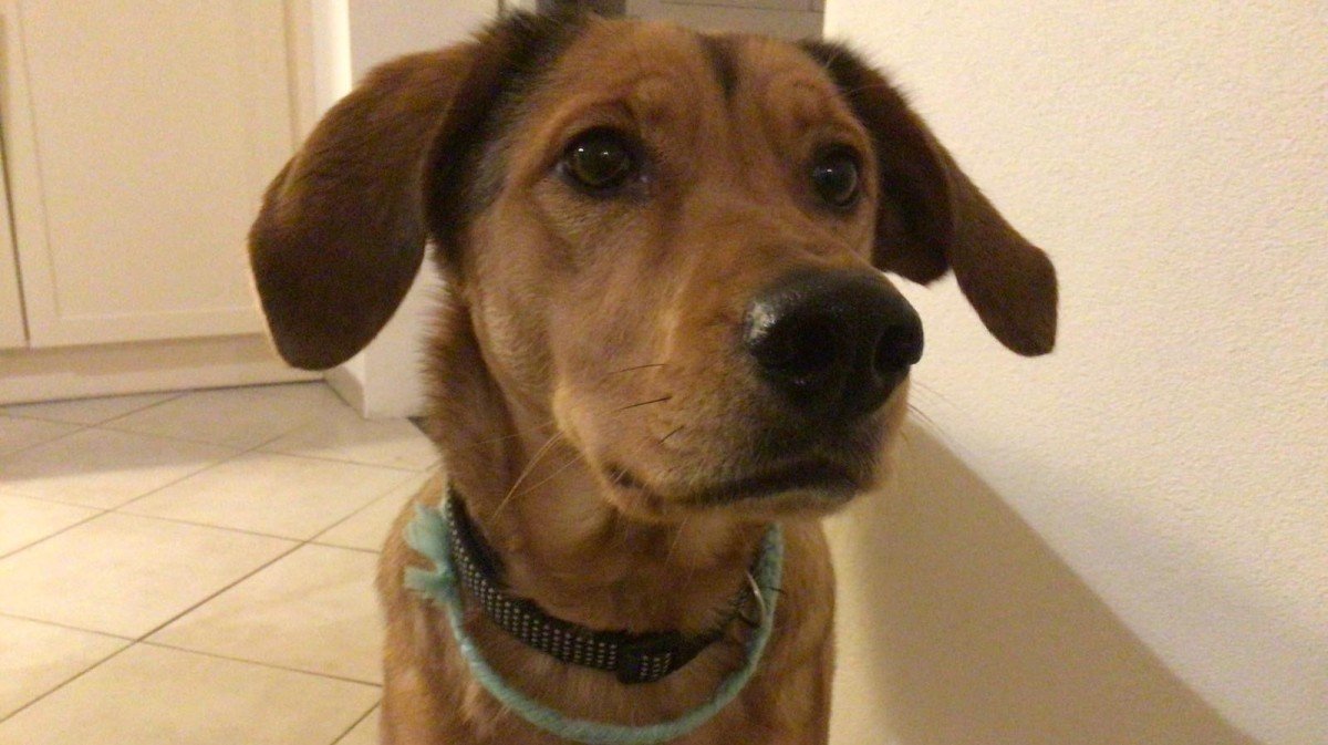 Charlie
