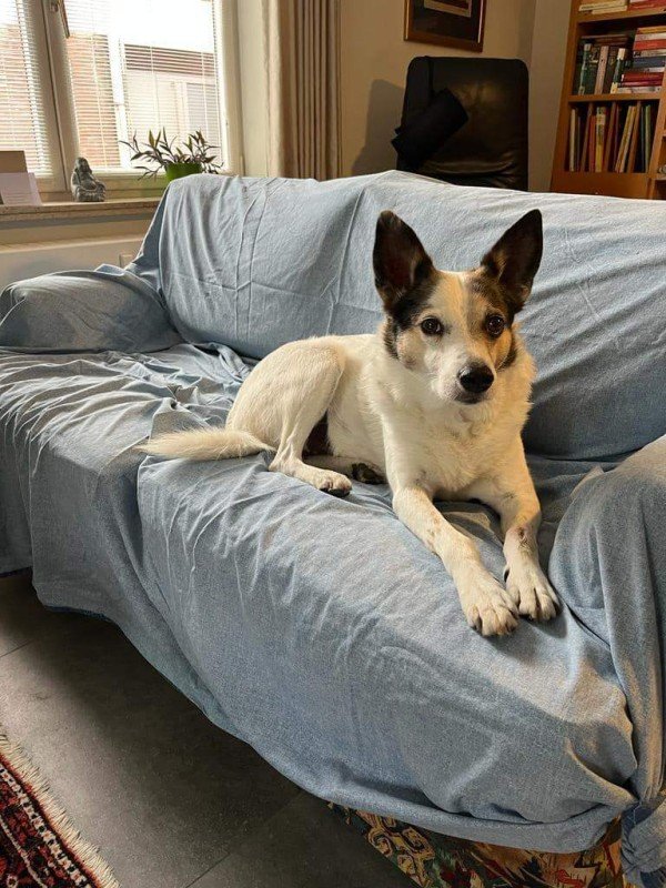 Max