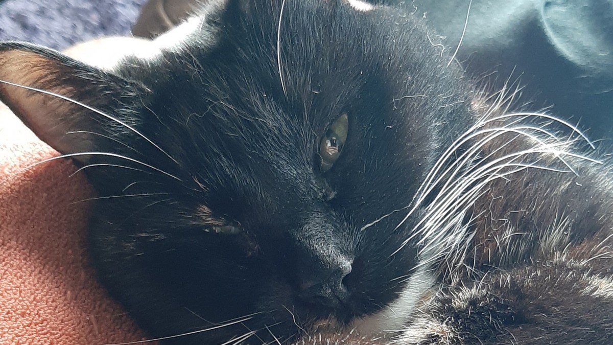 Coco