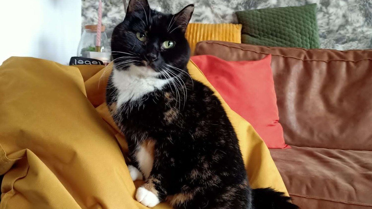 Coco