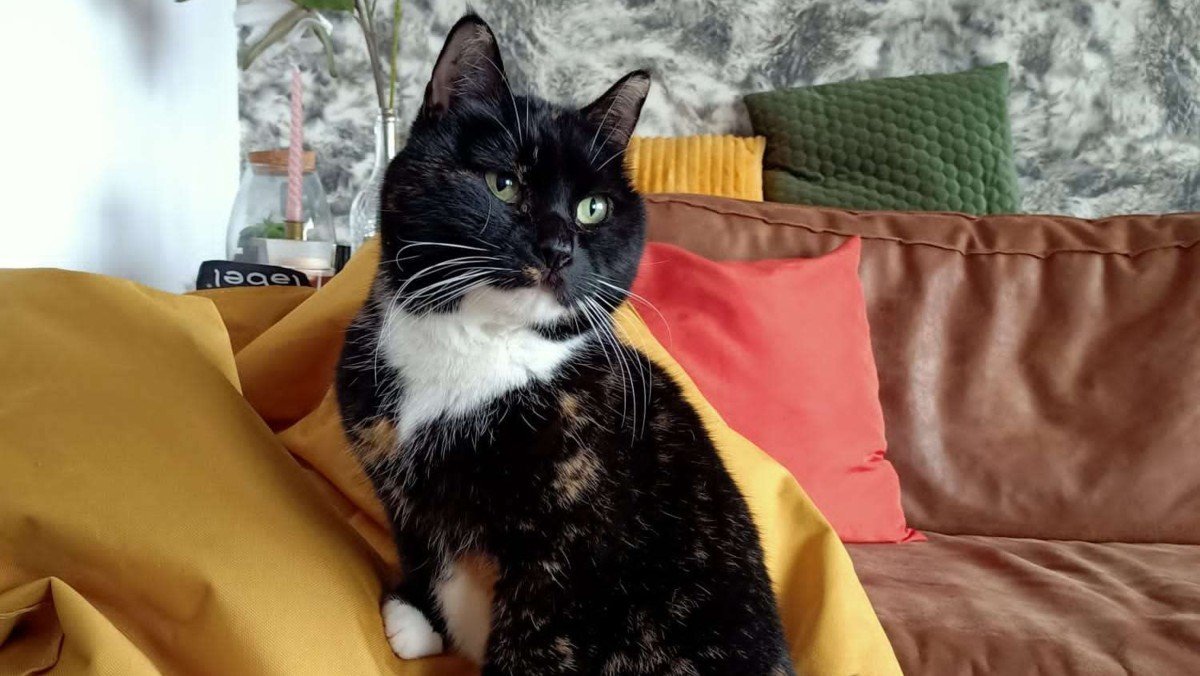 Coco
