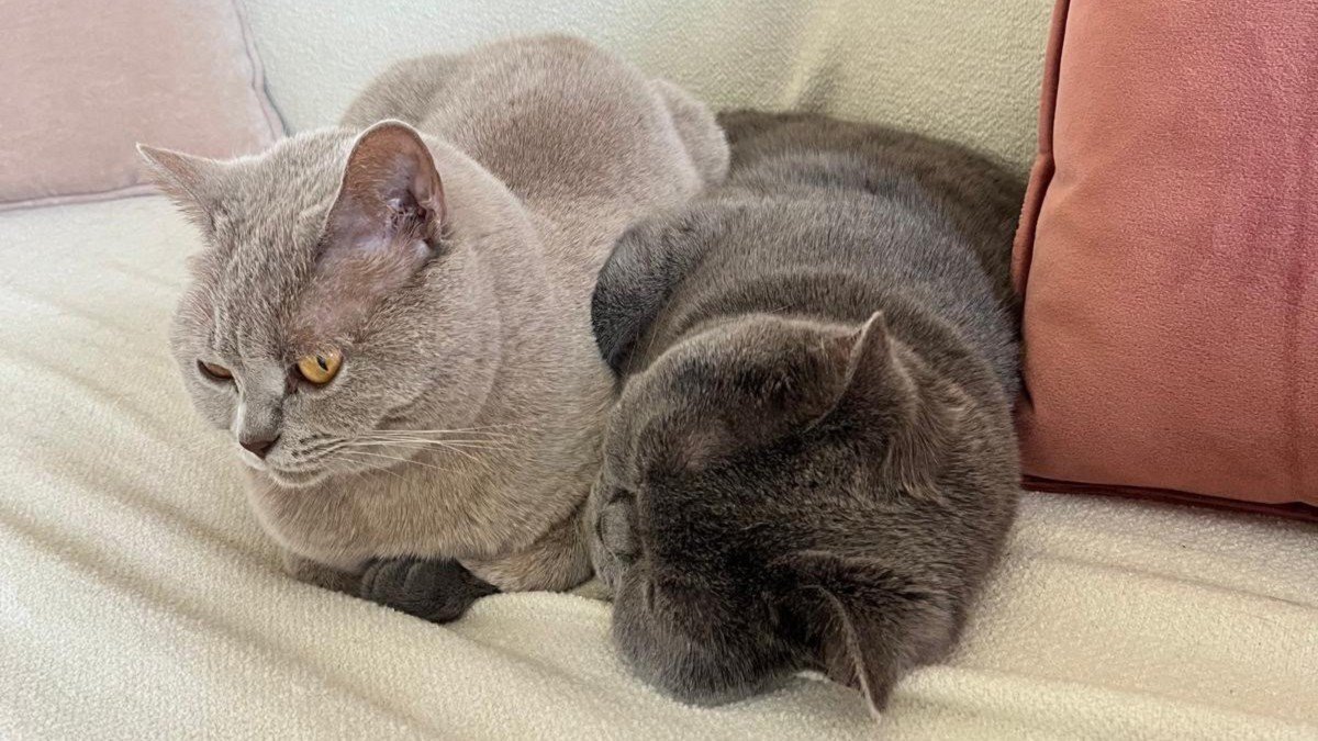 Yumos & Mia
