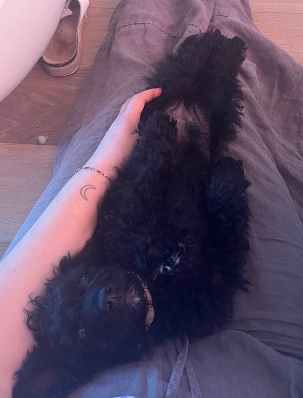 Pom