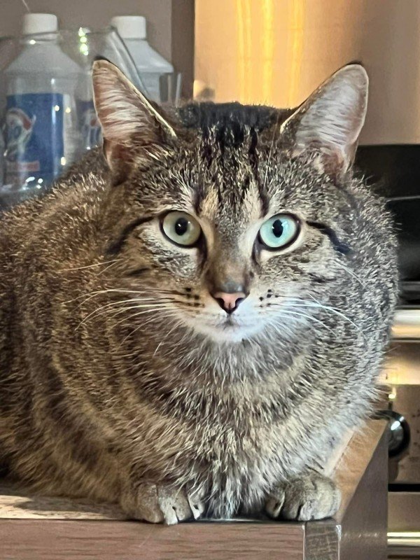 Angel