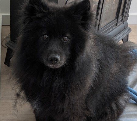Loki
