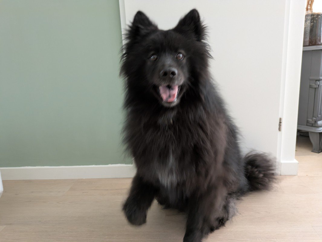 Loki