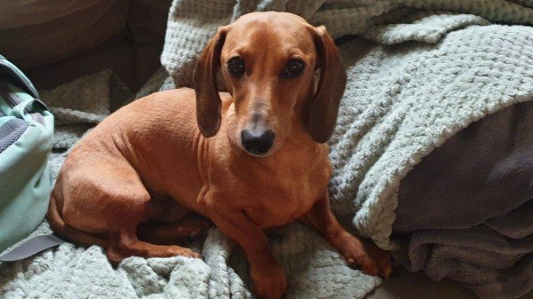 Coco