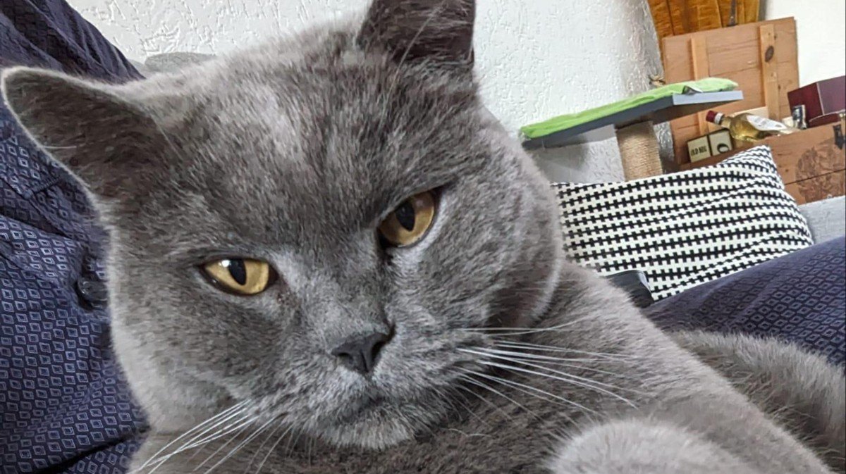 Smokey