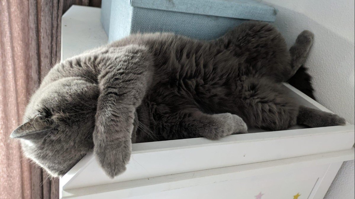 Smokey
