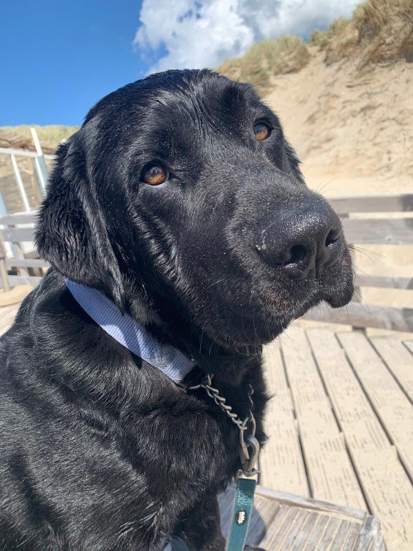 Sam