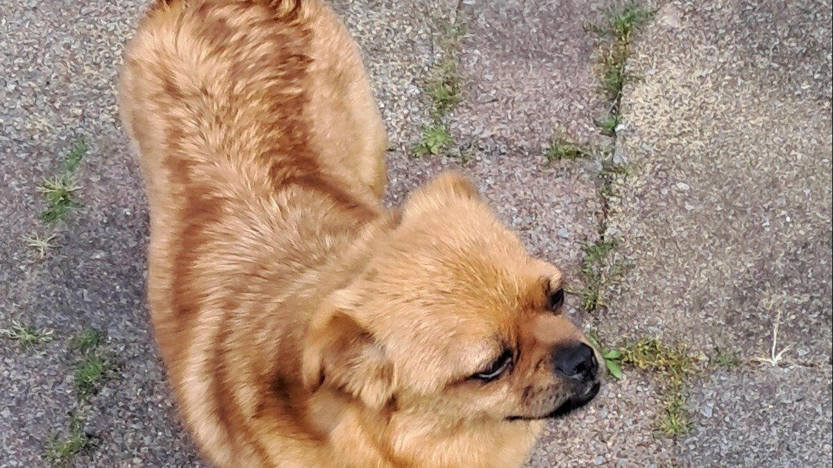 Tina