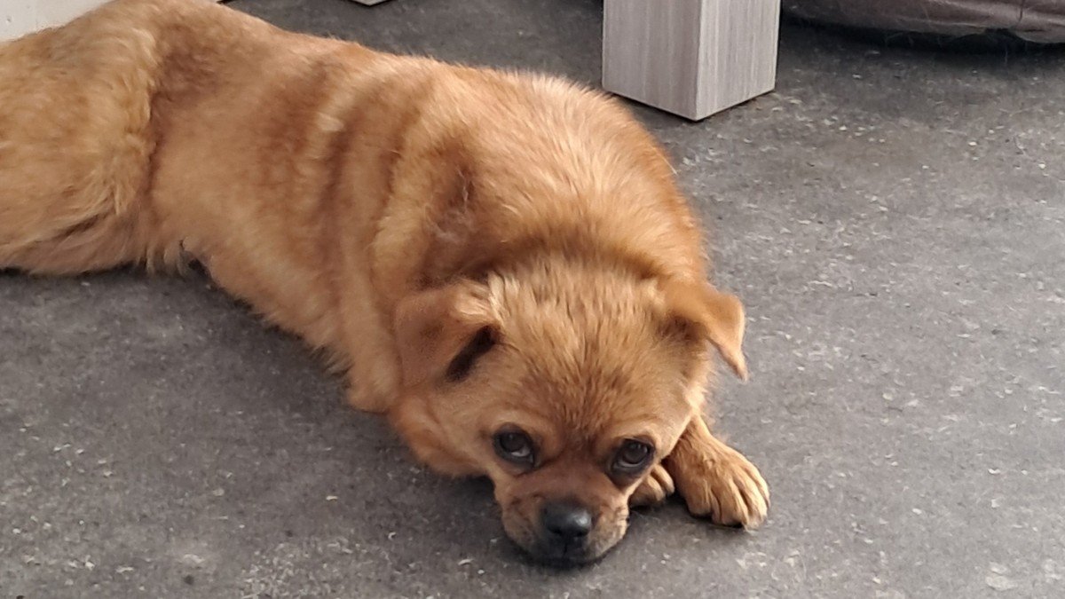 Tina