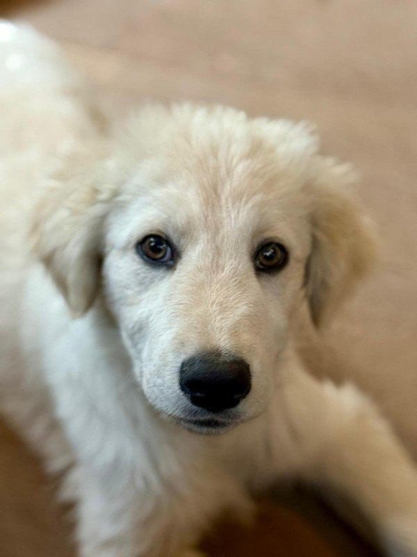 Rory