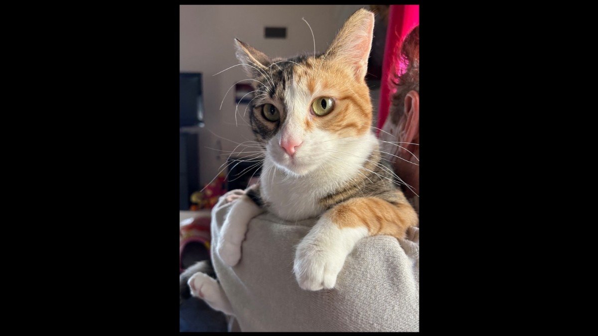 Gina