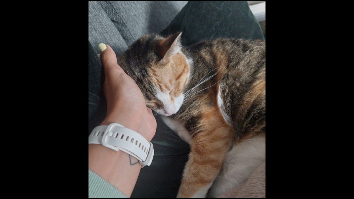 Gina