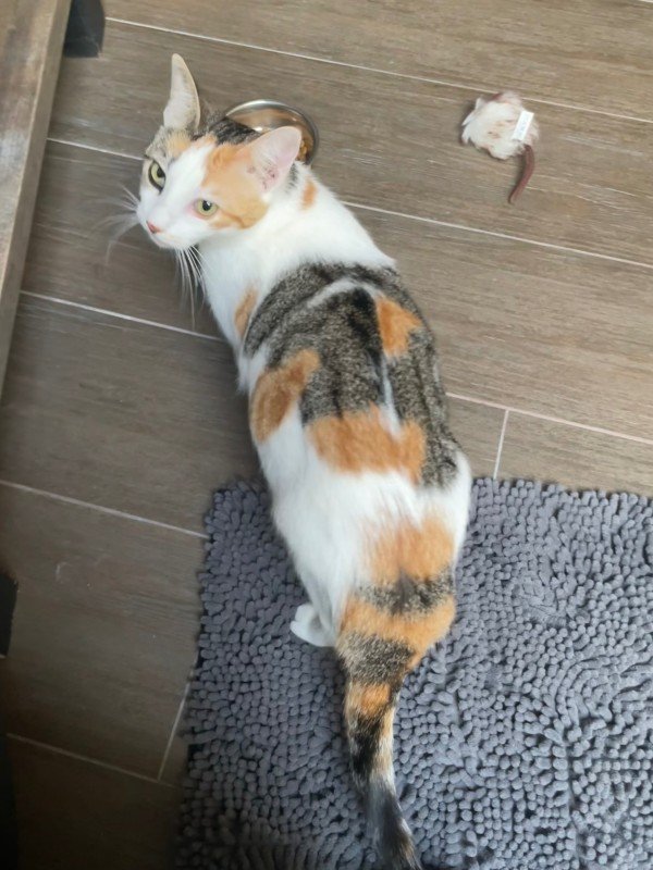 Minnie